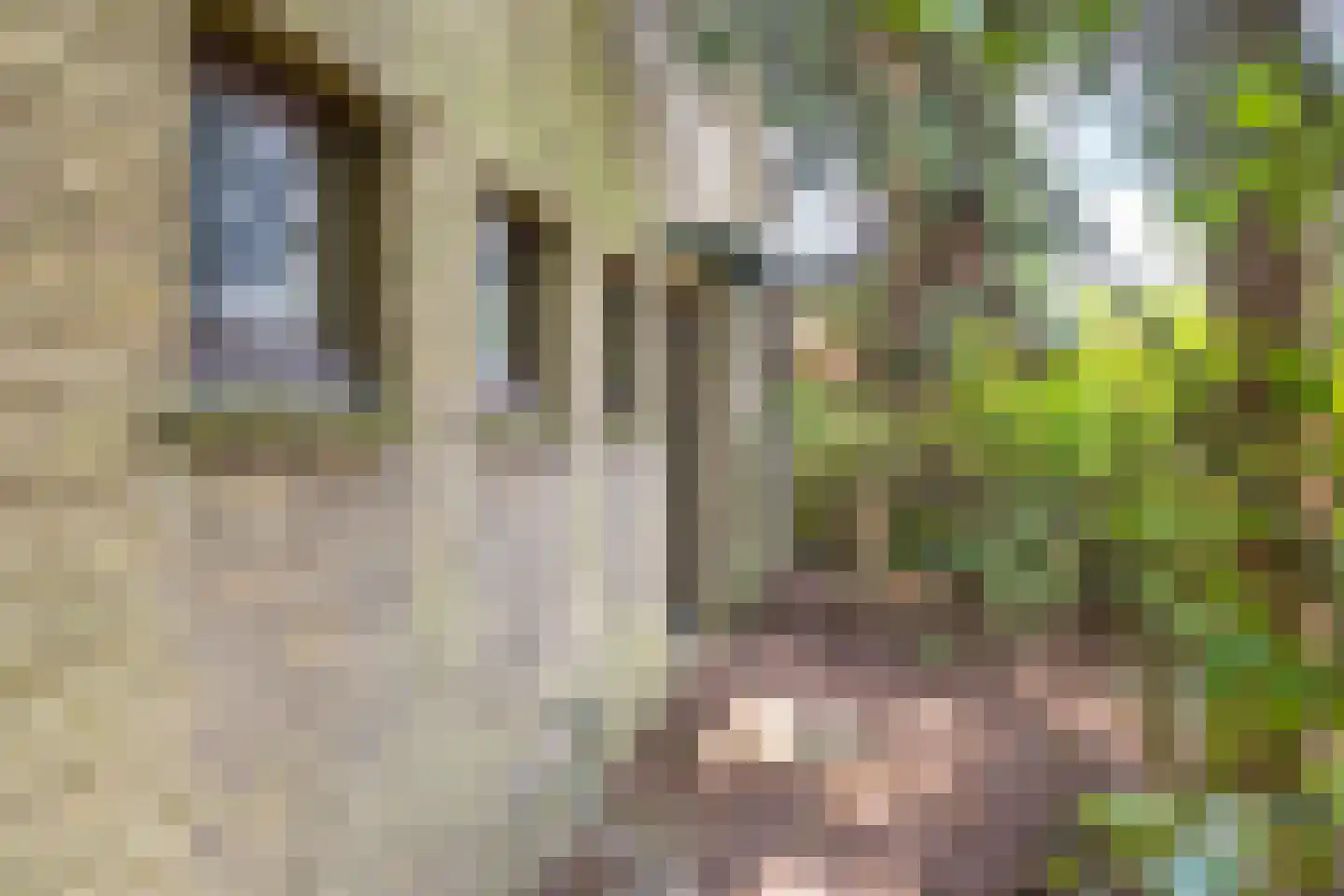 P.C.Hooftstraat 2 Brunssum thumbnail 25