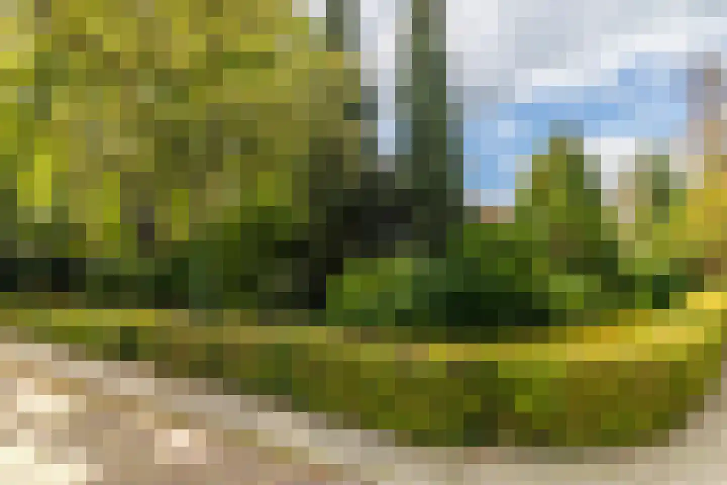 P.C.Hooftstraat 2 Brunssum thumbnail 30