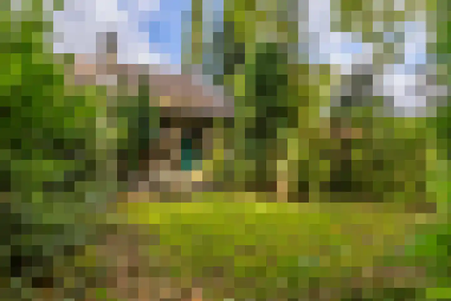 P.C.Hooftstraat 2 Brunssum thumbnail 5