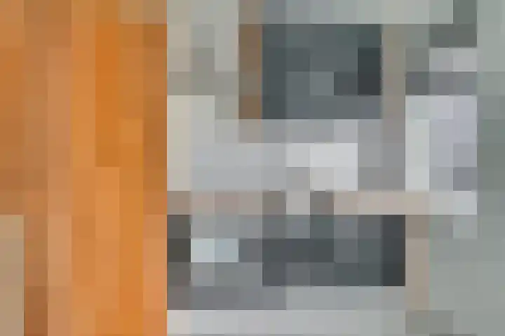P C Hooftstraat 2 Venlo thumbnail 13