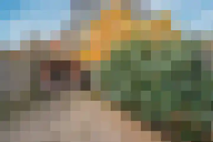 P C Hooftstraat 2 Venlo thumbnail 36