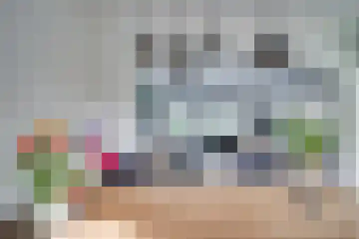 P C Hooftstraat 2 Venlo thumbnail 7