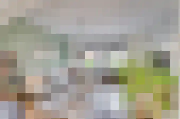 P C Hooftstraat 2 Venlo thumbnail 8