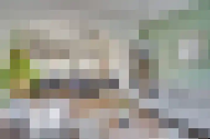 P C Hooftstraat 2 Venlo thumbnail 9