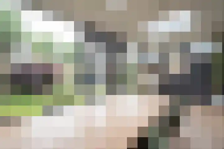 P.C. Hooftstraat 23 Goor thumbnail 10