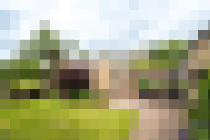 P.C. Hooftstraat 23 Goor thumbnail 23