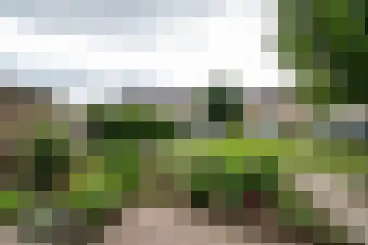 P.C. Hooftstraat 23 Goor thumbnail 25