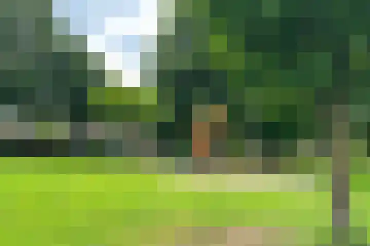 P.C. Hooftstraat 23 Goor thumbnail 27