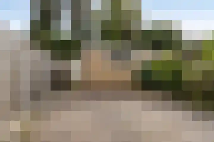 P.C. Hooftstraat 24 Goor thumbnail 25