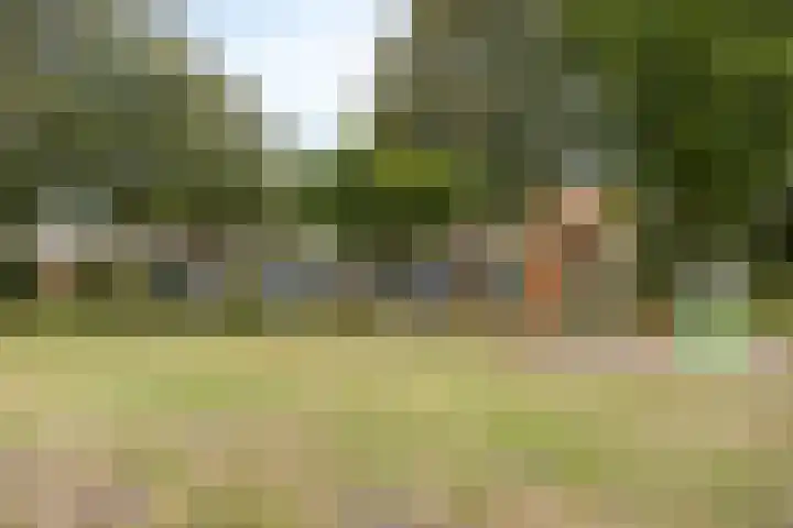P.C. Hooftstraat 24 Goor thumbnail 29