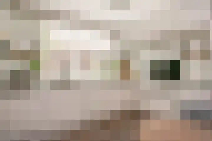 P.C. Hooftstraat 31 Maarssen thumbnail 10
