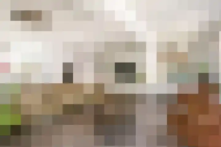P.C. Hooftstraat 31 Maarssen thumbnail 7