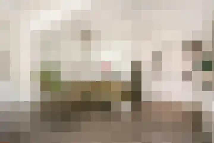 P.C. Hooftstraat 31 Maarssen thumbnail 8