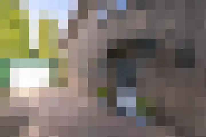 P.C.Hooftstraat 35 Brunssum thumbnail 31