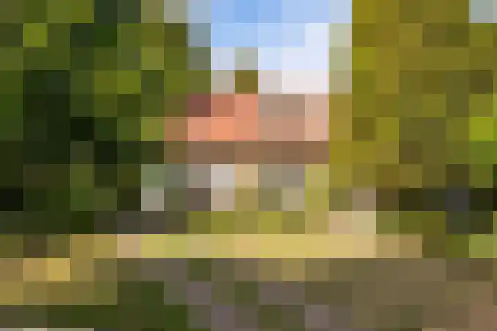 P.C.Hooftstraat 35 Brunssum thumbnail 33