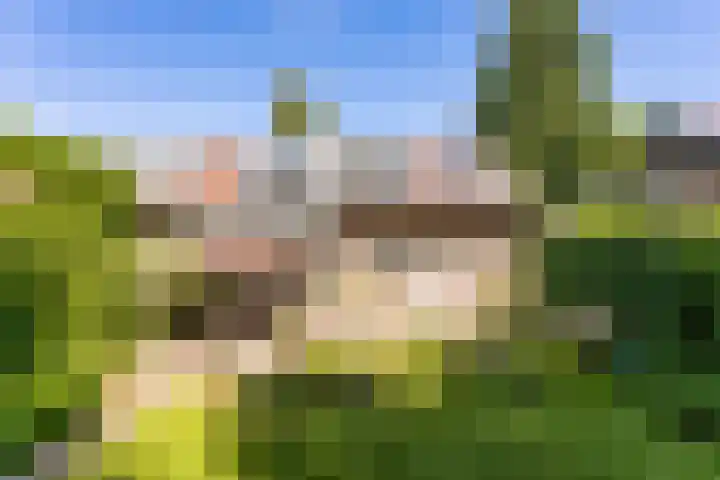 P.C.Hooftstraat 35 Brunssum thumbnail 35
