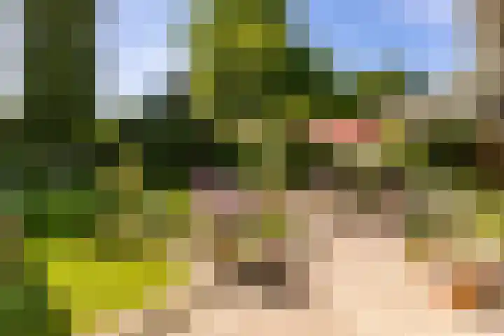P.C.Hooftstraat 35 Brunssum thumbnail 37