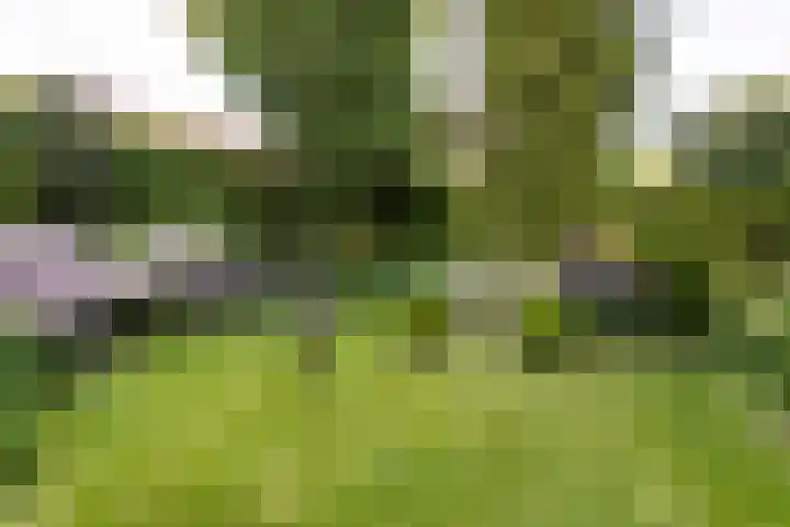 P.C.Hooftstraat 35 Brunssum thumbnail 38