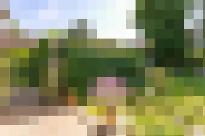 P.C.Hooftstraat 35 Brunssum thumbnail 39