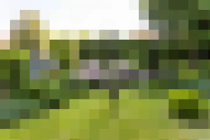 P.C.Hooftstraat 35 Brunssum thumbnail 6