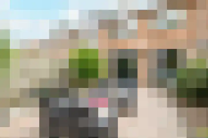 P.C. Hooftstraat 35 Maarssen thumbnail 27