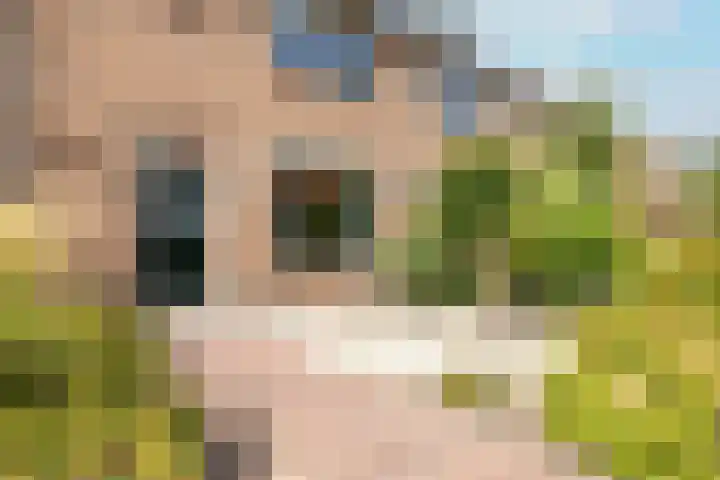 P.C. Hooftstraat 35 Maarssen thumbnail 6