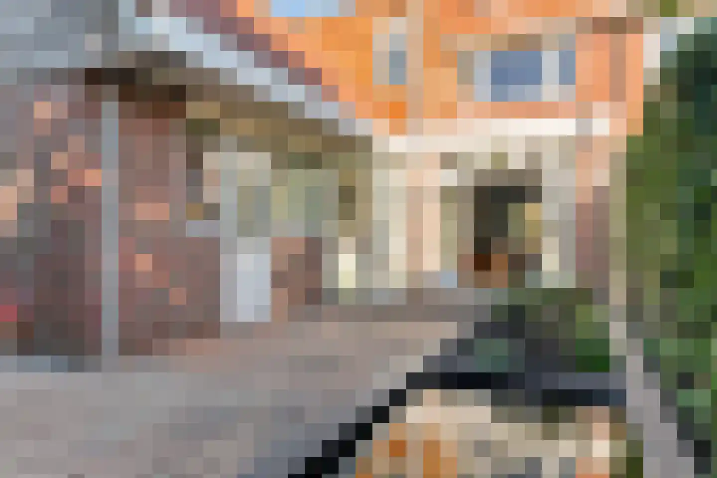 P.C. Hooftstraat 39 Leeuwarden thumbnail 6