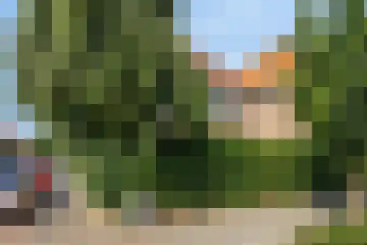 P C Hooftstraat 41 Zwolle thumbnail 47