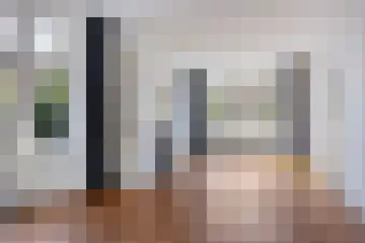 P C Hooftstraat 41 Zwolle thumbnail 7