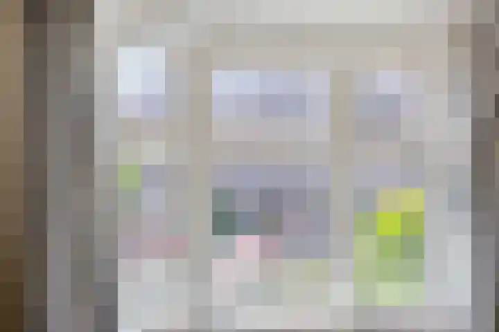 P C Hooftstraat 41 Zwolle thumbnail 8