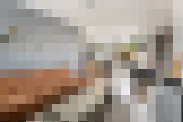 P C Hooftstraat 50 Putten thumbnail 8