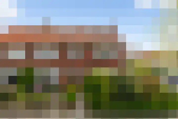 P.C. Hooftstraat 55 Leeuwarden thumbnail 51