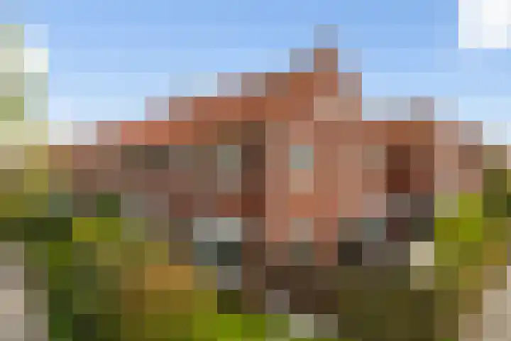 P.C. Hooftstraat 55 Leeuwarden thumbnail 64