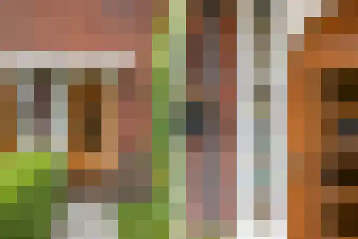 P.C. Hooftstraat 55 Leeuwarden thumbnail 8