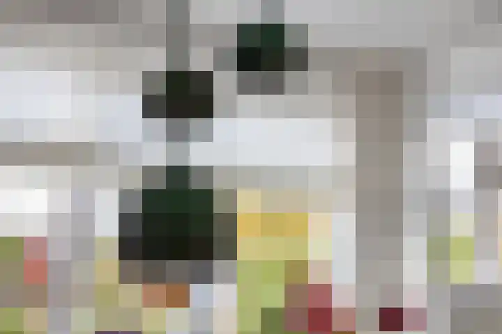 P.C. Hooftstraat 7 Goor thumbnail 14