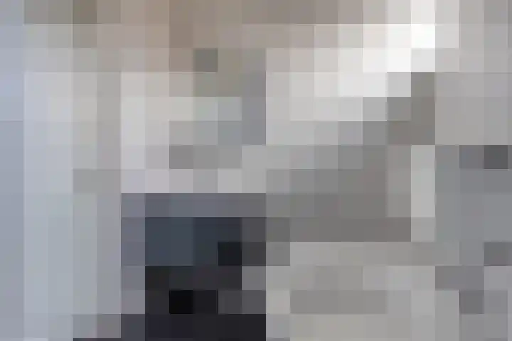 P.C. Hooftstraat 7 Goor thumbnail 24