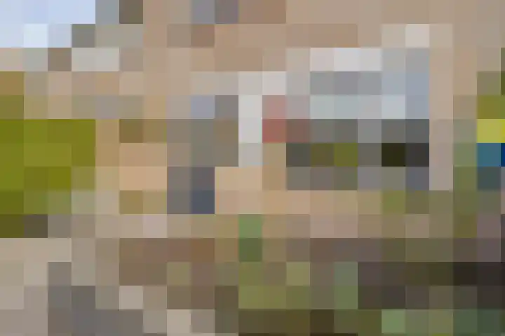 P.C. Hooftstraat 7 Goor thumbnail 32