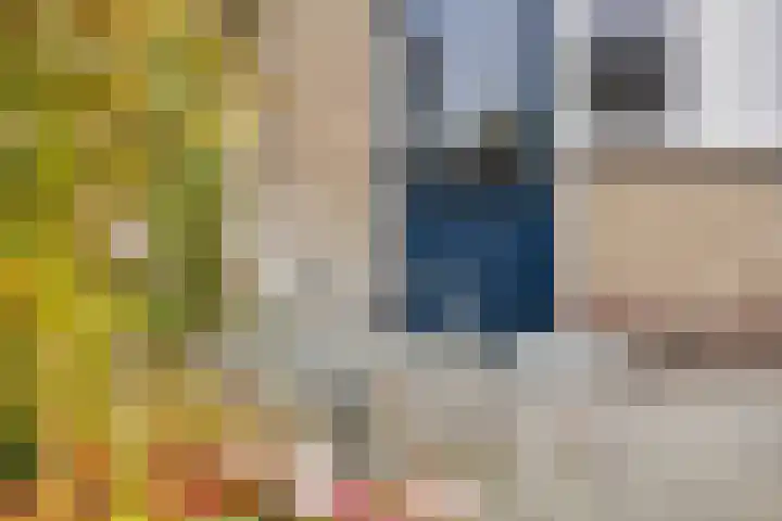 P.C. Hooftstraat 7 Goor thumbnail 33
