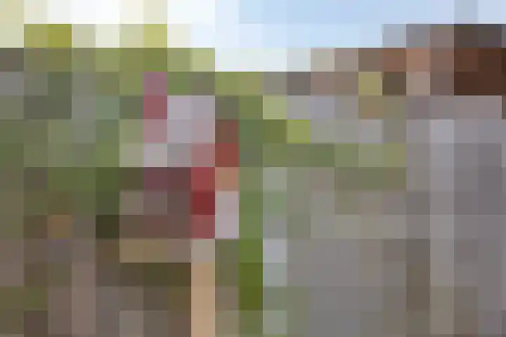 P.C. Hooftstraat 7 Goor thumbnail 34