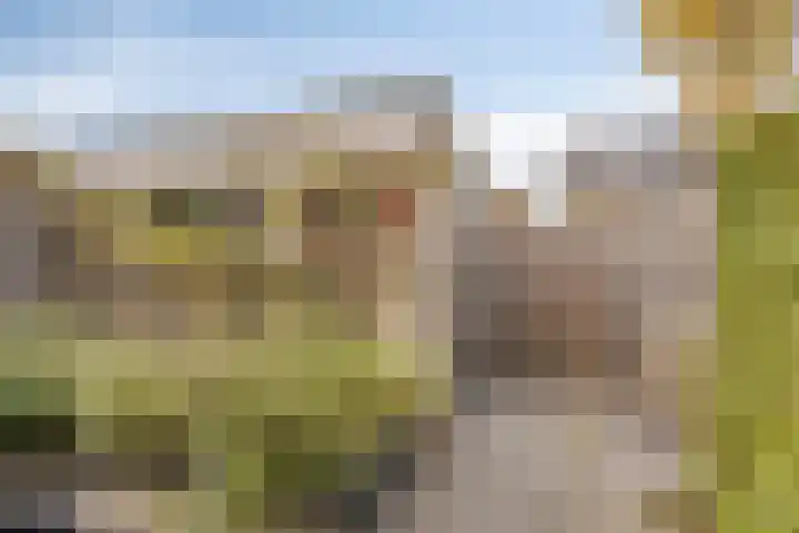 P.C. Hooftstraat 7 Goor thumbnail 35