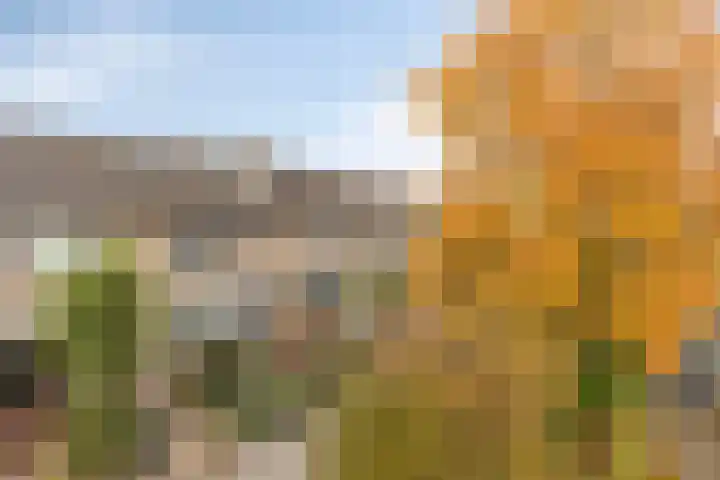 P.C. Hooftstraat 7 Goor thumbnail 39