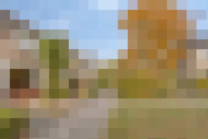 P.C. Hooftstraat 7 Goor thumbnail 40