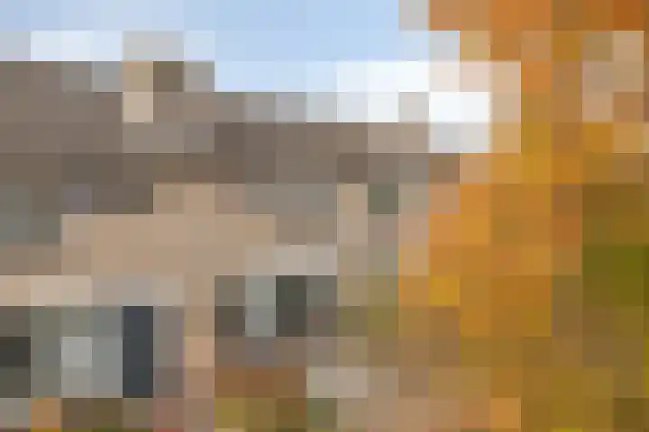 P.C. Hooftstraat 7 Goor thumbnail 41