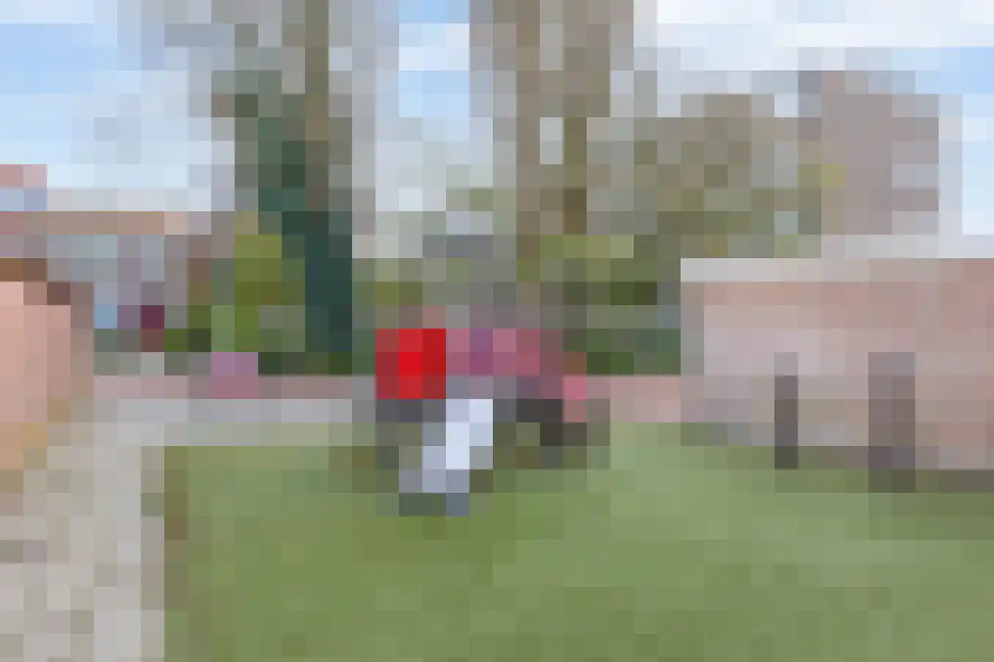 P.C. Hooftstraat 9 Spijkenisse thumbnail 43