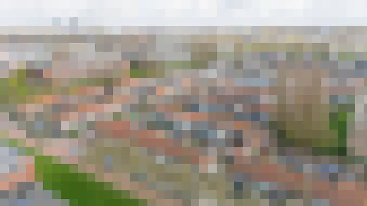 P.C. Hooftstraat 9 Spijkenisse thumbnail 44