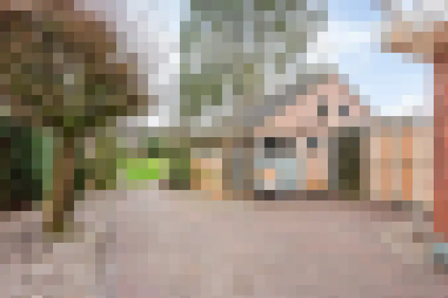 P C Stamstraat 70 Nijverdal thumbnail 15