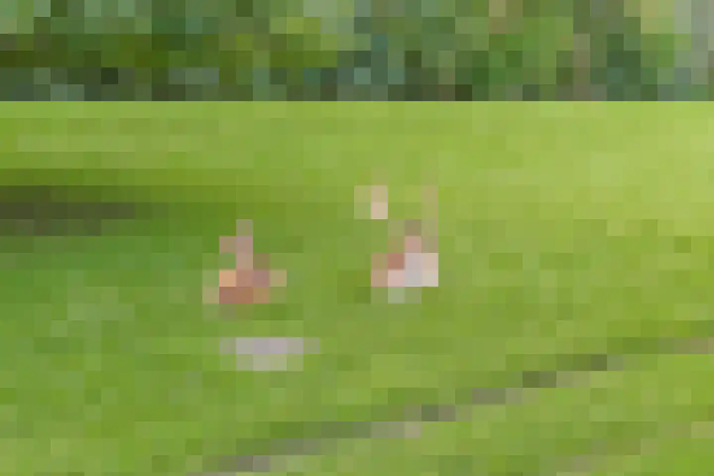 P.C. van Rijnplantsoen 23 Ter Aar thumbnail 41