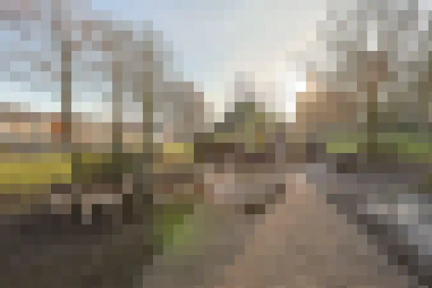 P.C. van Rijnplantsoen 36 Ter Aar thumbnail 28