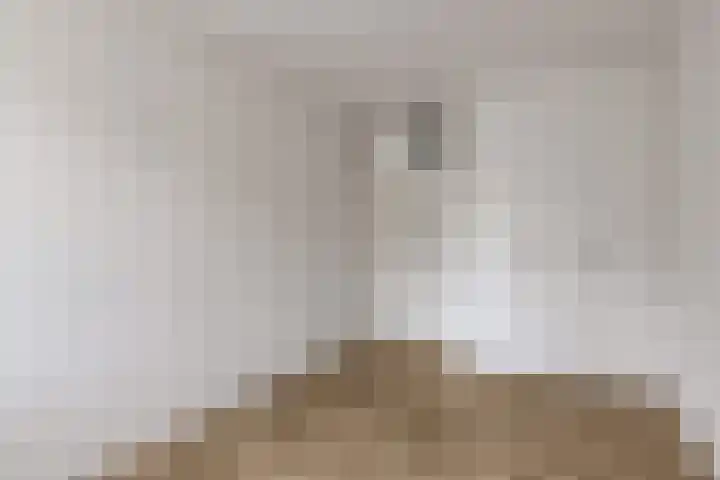 P Czn Hooftlaan 11 Eindhoven thumbnail 19