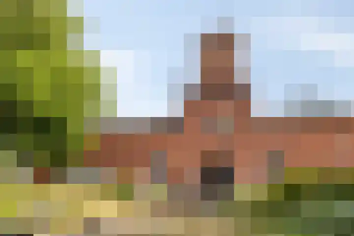 P Czn Hooftlaan 11 Eindhoven thumbnail 25